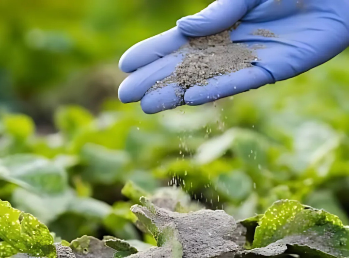 Rejuvenate Your Soil Naturally with Volcanic Rock Dust