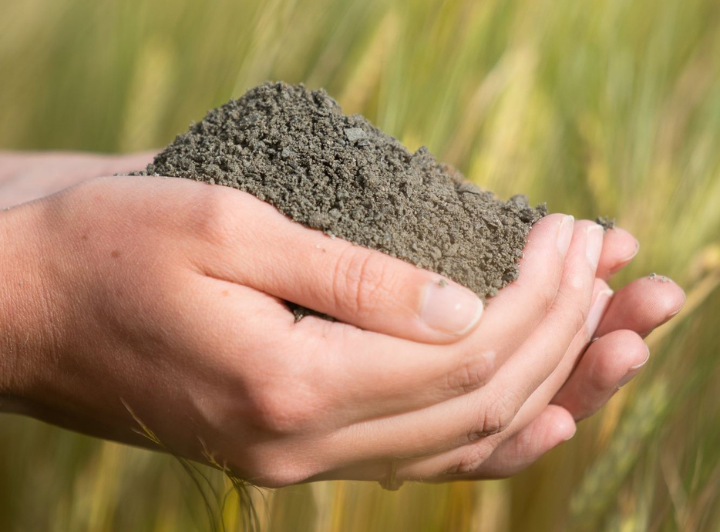 The Secret to Thriving Gardens: Volcanic Rock Dust